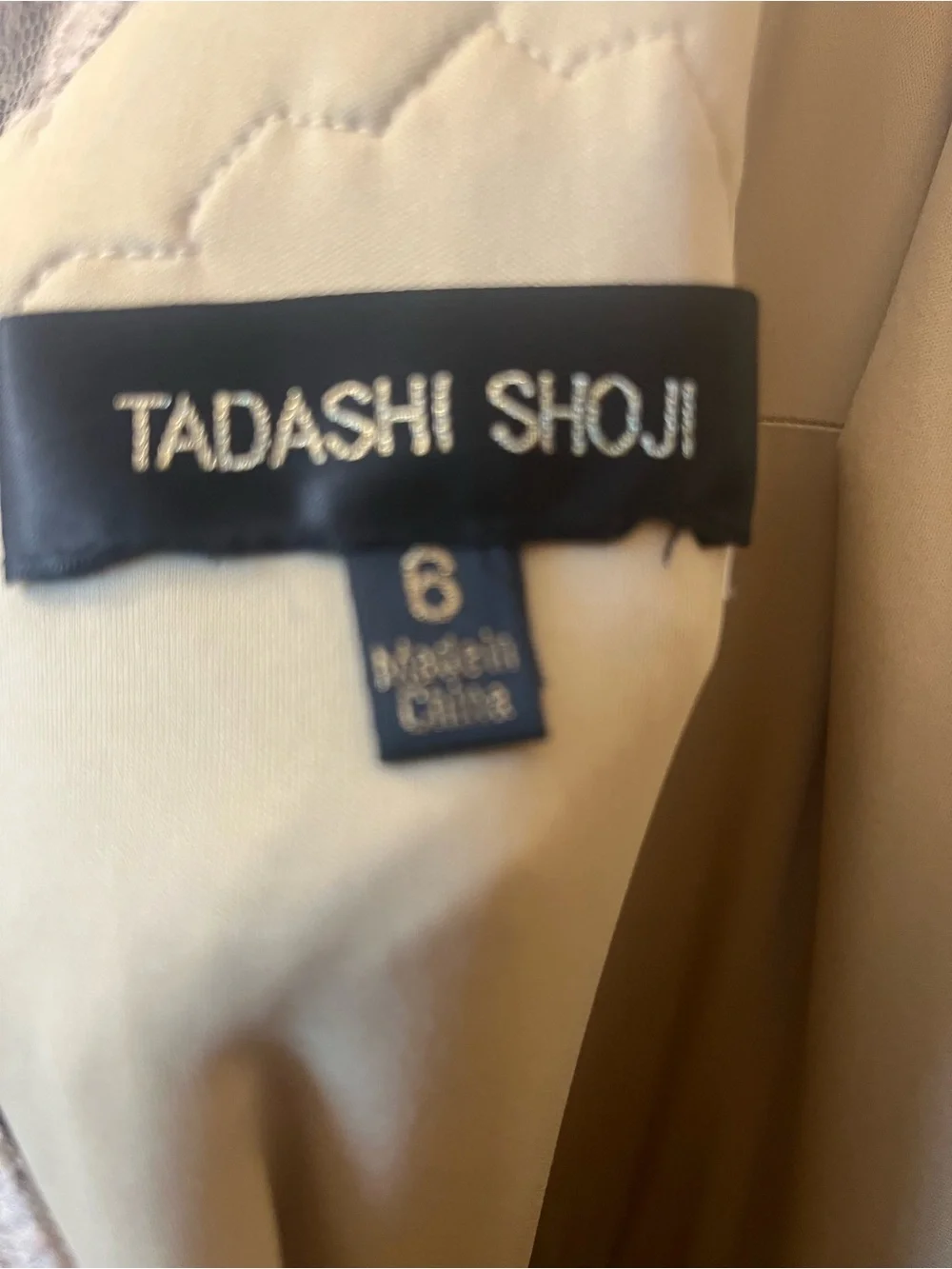 Tadashi Shoji Beige Gown, (missing belt)